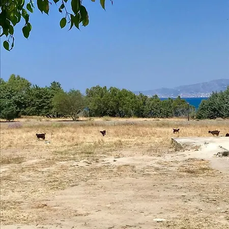 Vakantiehuis Zas-dionysos-apollonas *